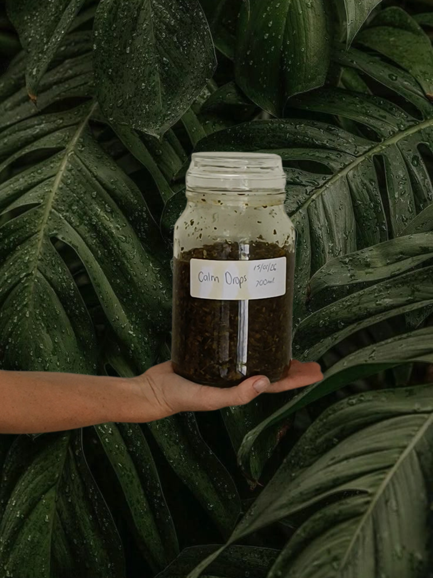 Person holding a jar of "calm drops" against a green leafy background