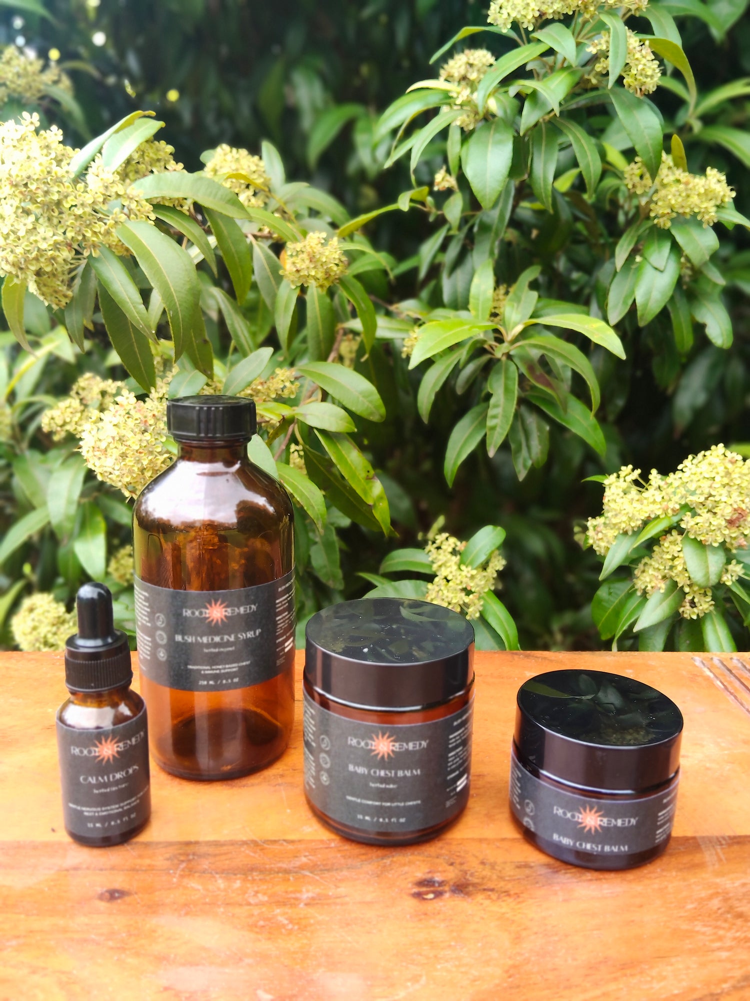 Four skincare products on a wooden surface with green foliage in the background